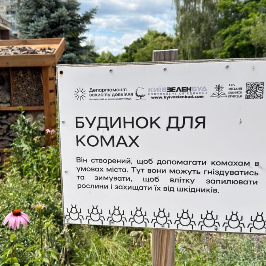 У парках Києва встановлюють нові будиночки для комах