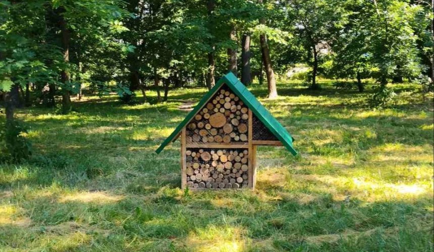 У парках Києва встановлюють нові будиночки для комах: як вони виглядають