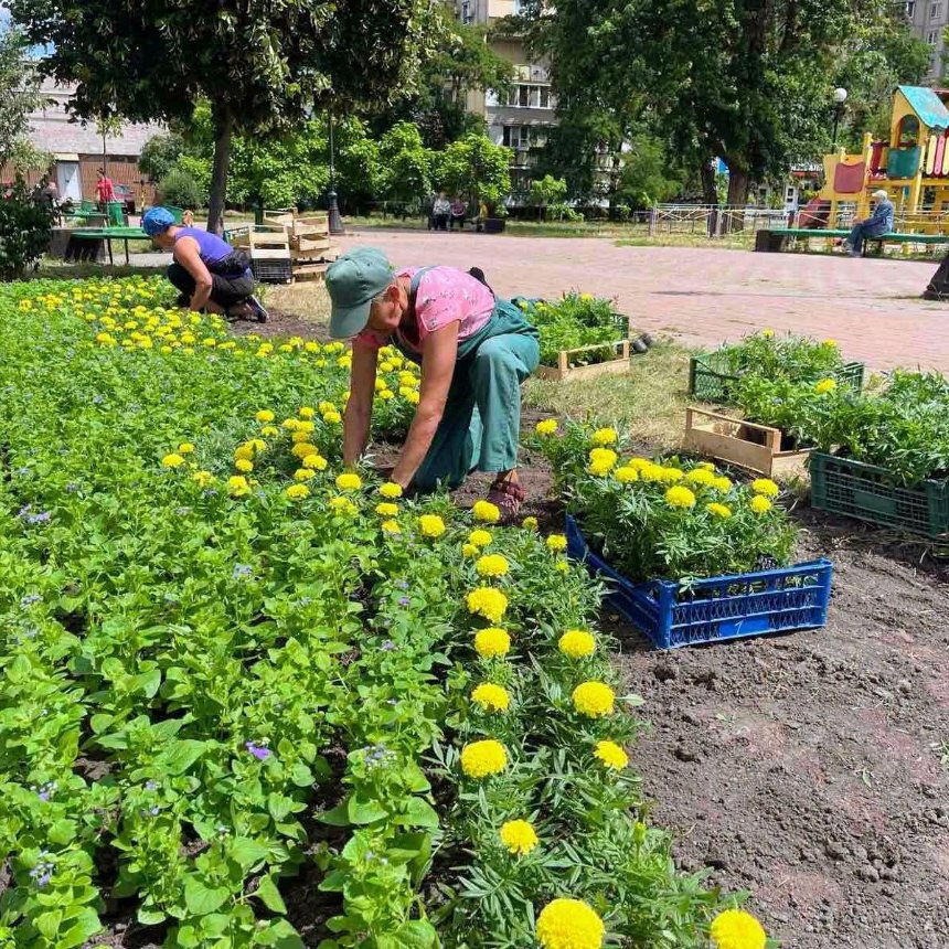 На Оболоні у Києві висадили яскраві літні клумби