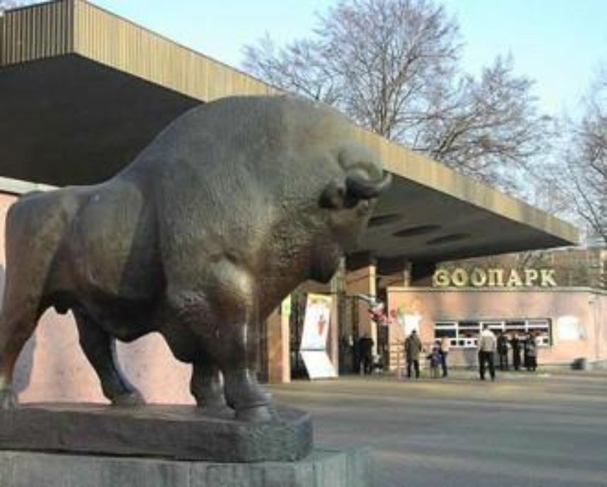 Вход в киевский зоопарк украсят зубрами и львами