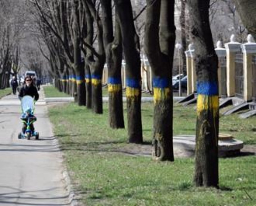 Вогнали в краску: почему желто-голубое разукрашивание Киева - уродство