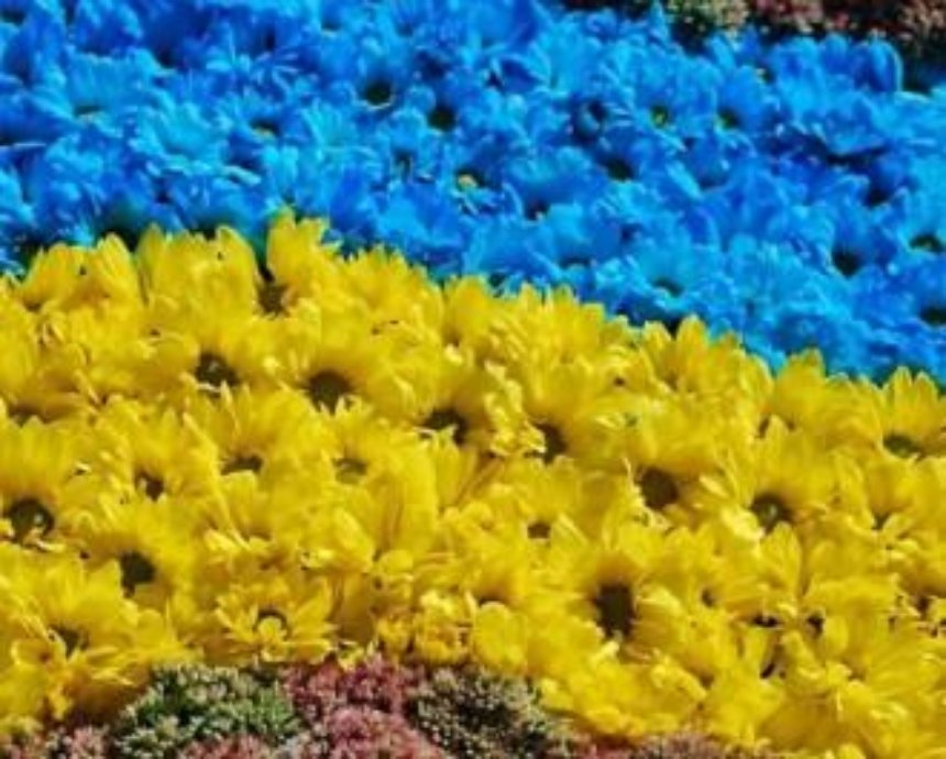 В Киеве создадут самый большой в мире цветочный флаг