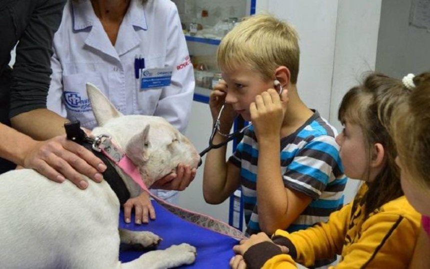 Дни ветеринарного врача: столичный зоопарк приглашает киевлян с их питомцами на медосмотр 