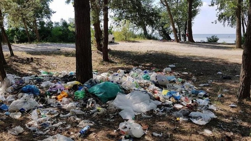 Санитары леса: киевляне очистили зону отдыха от мусора после любителей пикников (фото)