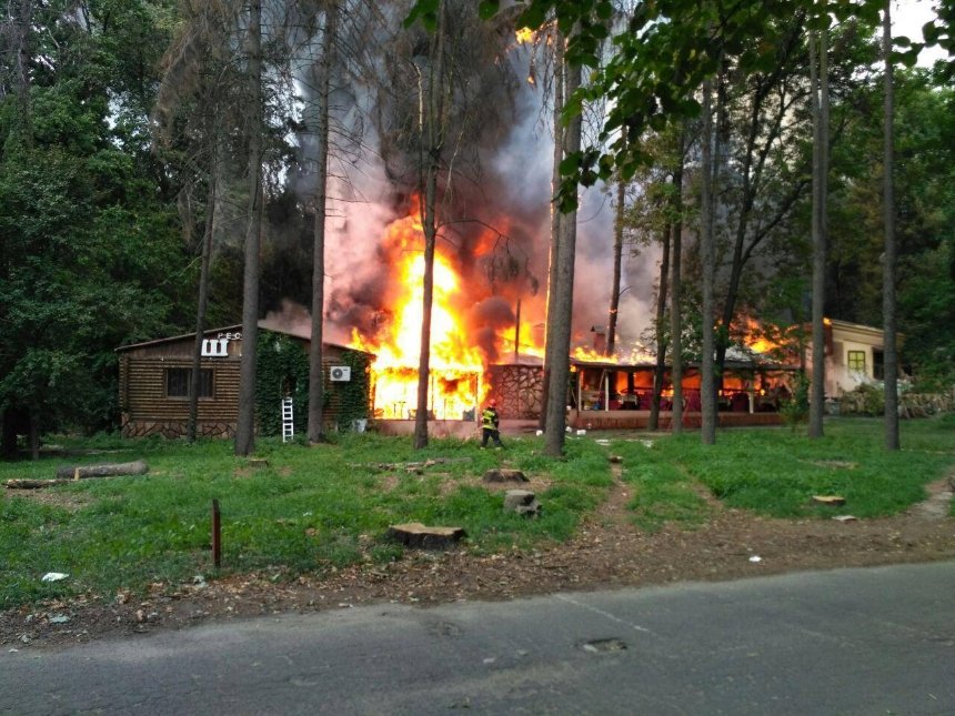 Горит парк: в районе Шулявки сильный пожар (фото, видео)