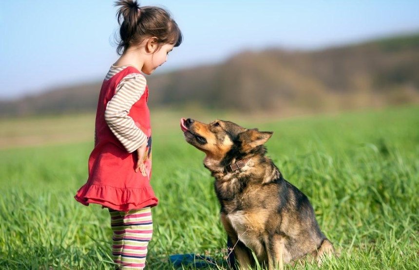 Милота: на Позняках девочка предлагает выгулять чужих собак 