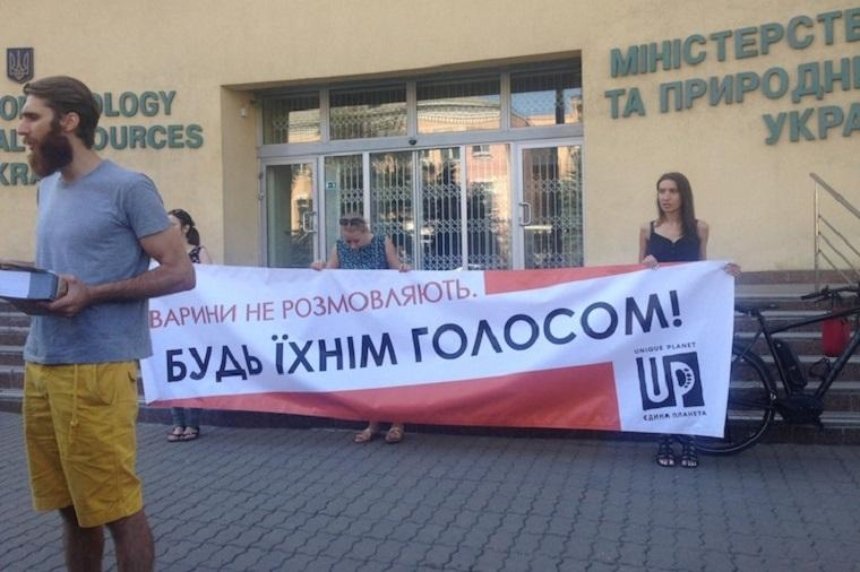 Киевские зоозащитники принесли лисиц на акцию против живодерен (фото) 
