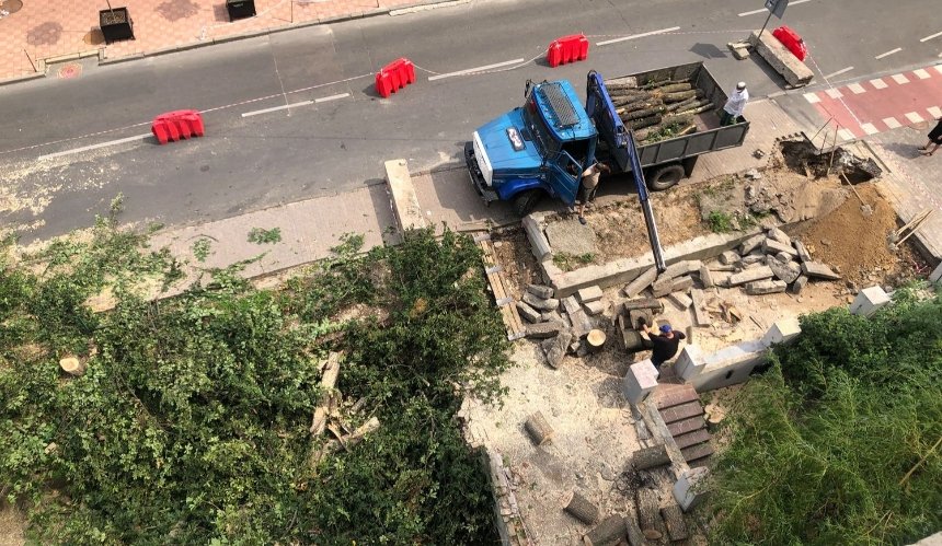 На улице Ивана Франко высадят новые деревья вместо вырубленных