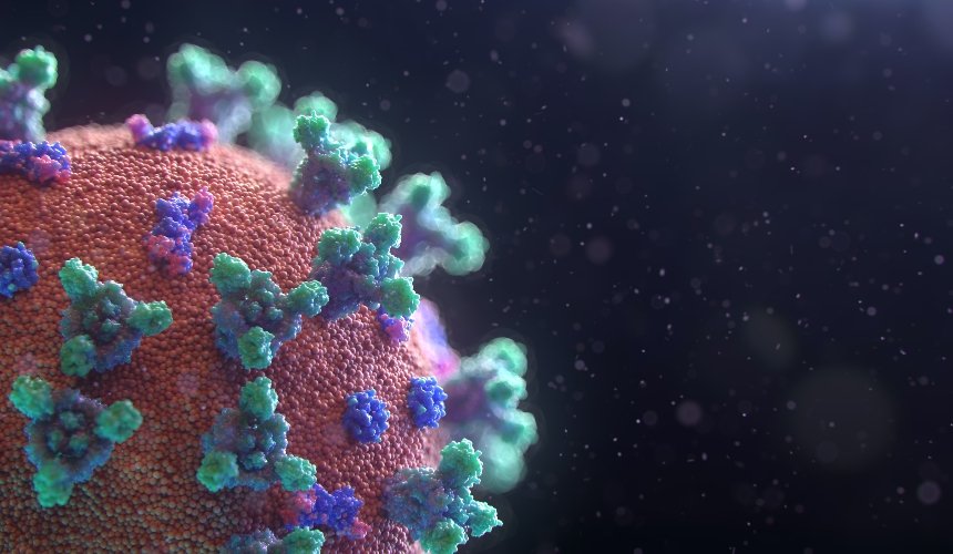 Штамм коронавируса «Йота»: ВОЗ объяснила, насколько он опасен