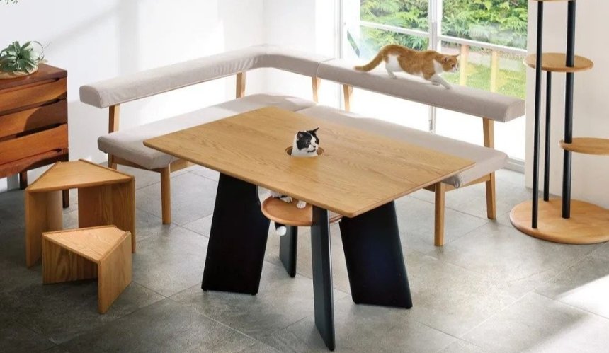 В Японии продают обеденный стол с отверстием для кота 
