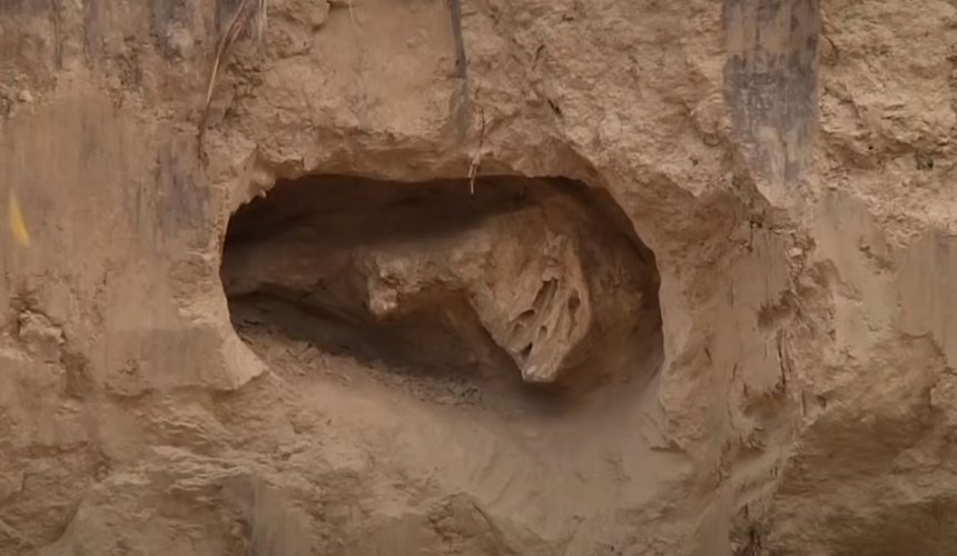 В Коростене во время работ по установке флагштока нашли кости мамонта