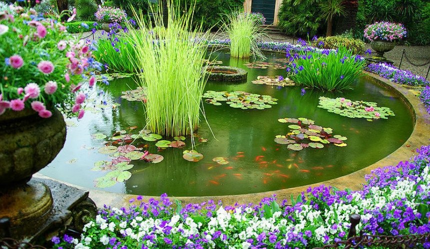У Києві створюють водні сади у чашах
