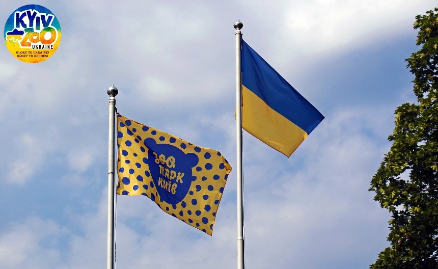 Правор на День Незалежності України