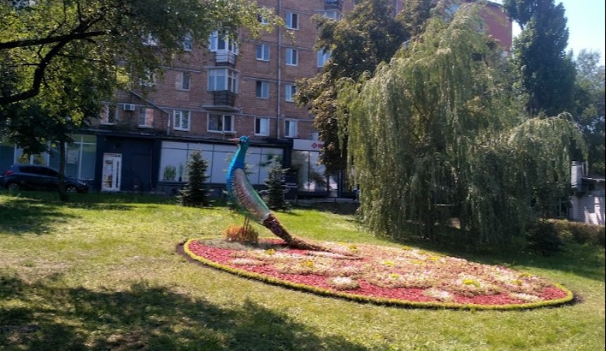 У Солом'янському районі створили нову інсталляцію-квітник: фото
