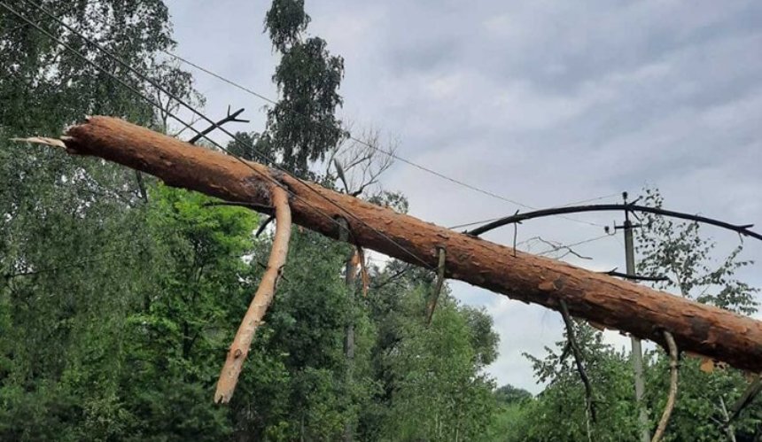 Через негоду на Київщині без електрики залишилися понад 60 населених пунктів