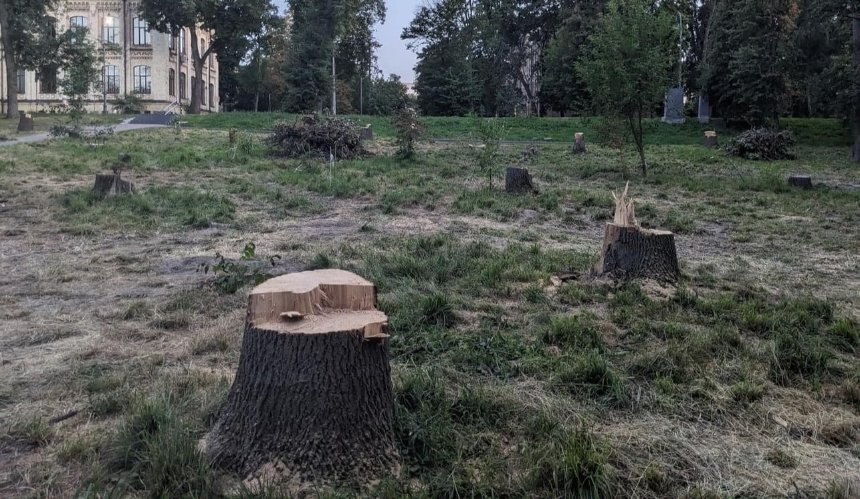 У парку КПІ масово зрізали дерева: фото 