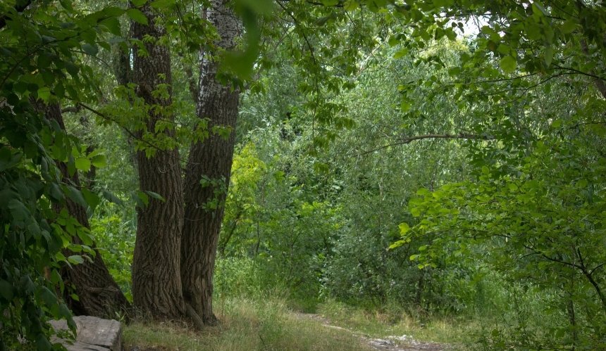 В парках та скверах Дарницького району ввели карантинні заходи: подробиці