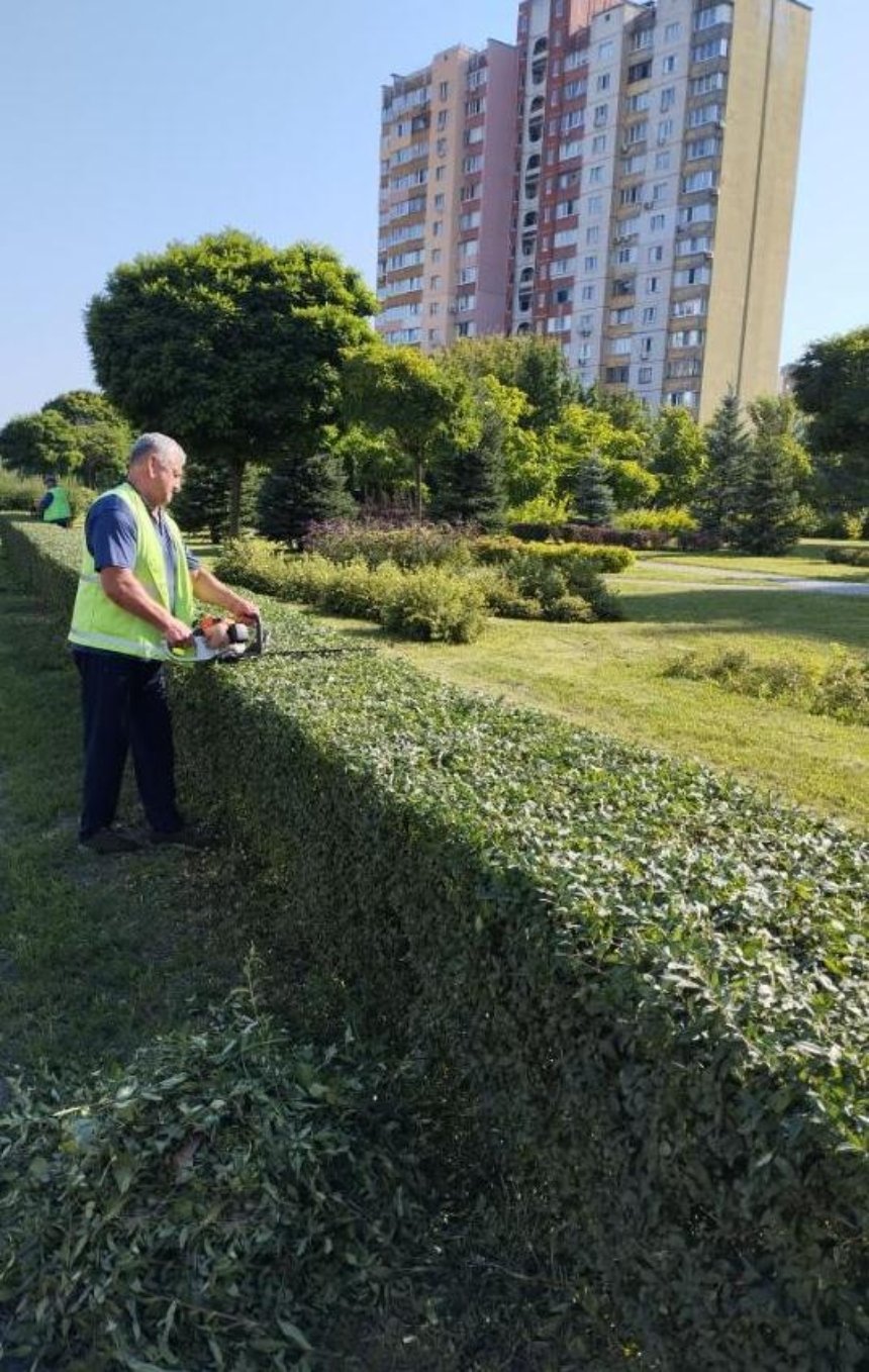У парках Деснянського району проводять формувальну обрізку кущів