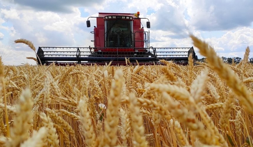 На Білоцерківщині завершили збирання ранніх зернових культур