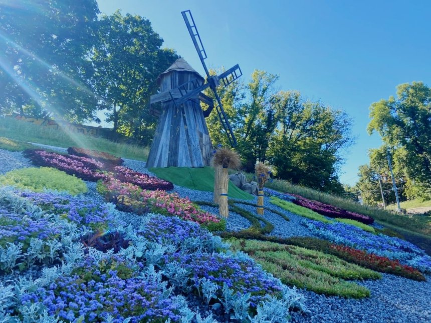 Київ прикрасили патріотичними квітковими композиціями до Дня Незалежності