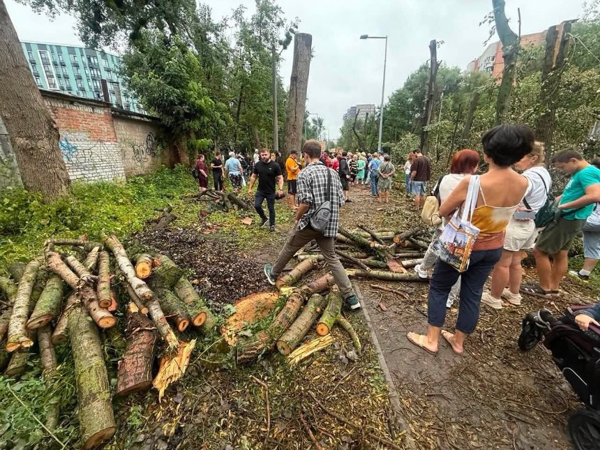 Дерева на Теремках вирубують технікою для ЗСУ: у "Київзеленбуді" заперечують