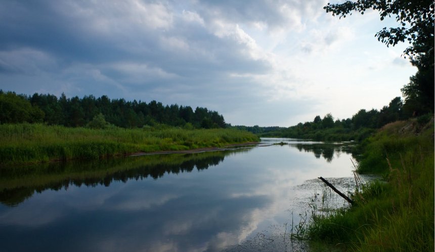 У Чорнобильському заповіднику виявили рідкісні види риб, занесені до Червоної книги: фото