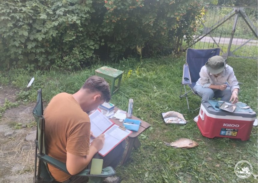 У Чорнобильському заповіднику виявили рідкісні види риб У Чорнобильському заповіднику виявили рідкісні види риб