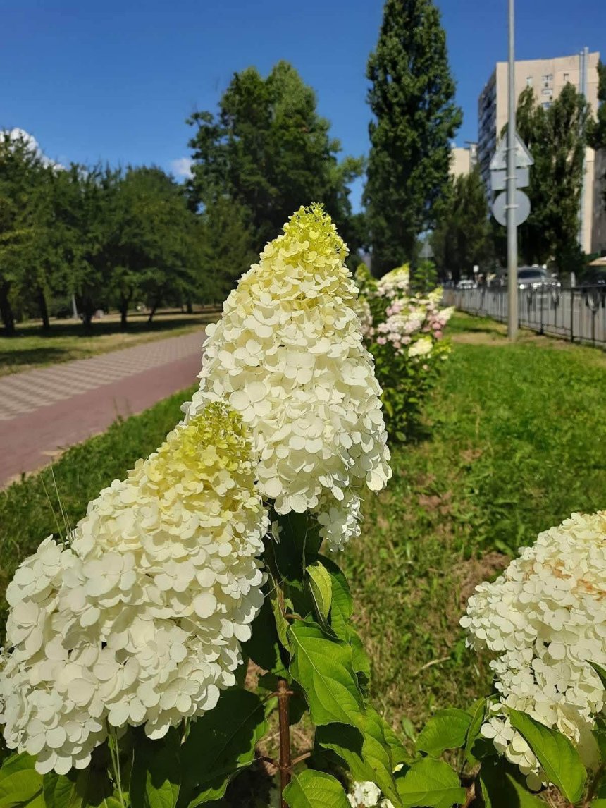 Як змінився парк на Русанівській набережній