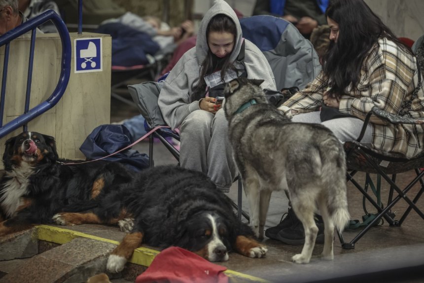 Вночі на станціях київського метро перебували майже 40 тис. людей: подробиці