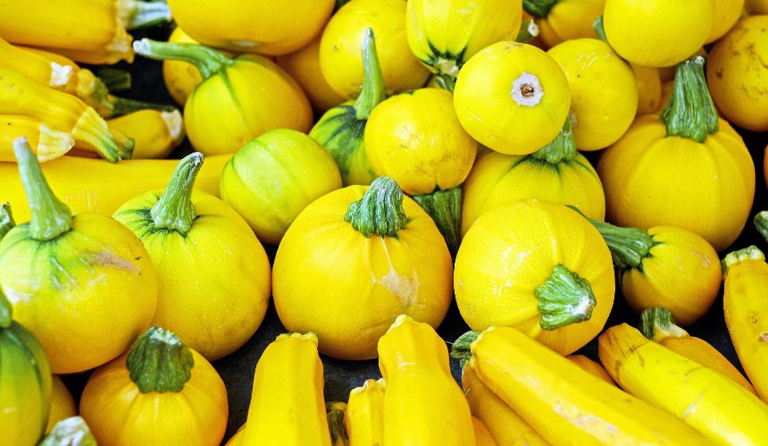 Де придбати фермерські продукти у Києві: повний розклад ярмарків із 25 до 30 серпня