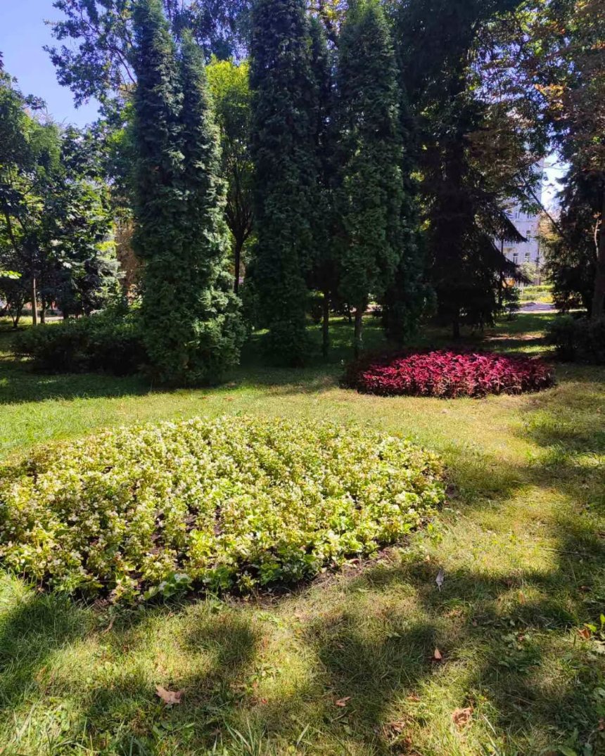 У парку Шевченка оновили квіткові клумби