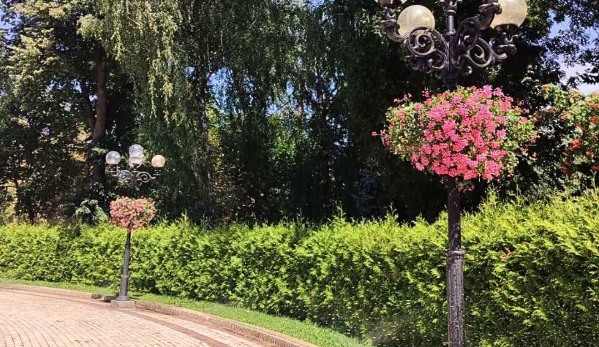 Продовження літа у центрі Києва: в парку Шевченка оновили квіткові клумби