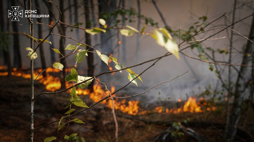 На Київщині кілька діб гасять масштабну лісову пожежу