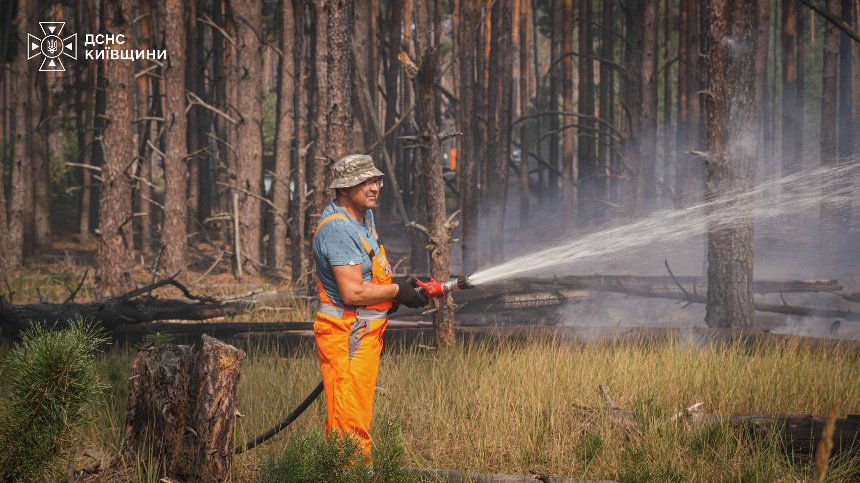 На Київщині кілька діб гасять масштабну лісову пожежу На Київщині кілька діб гасять масштабну лісову пожежу