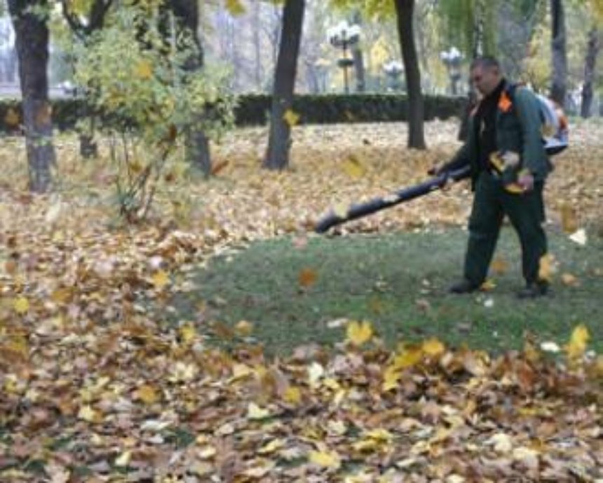 Осенний месячник по благоустройству стартовал в столице