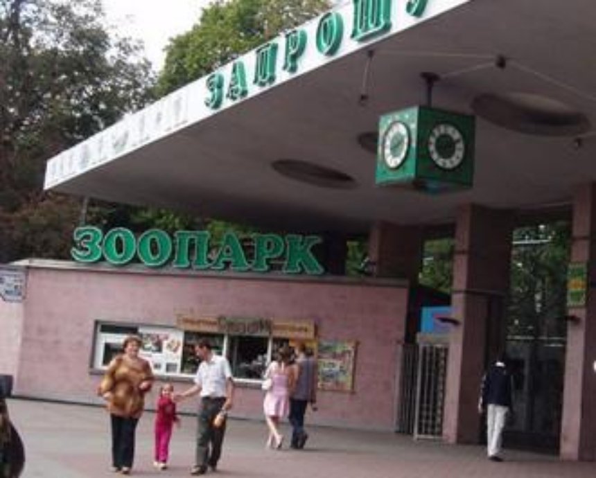 Директор киевского зоопарка подал в отставку - советник Кличко