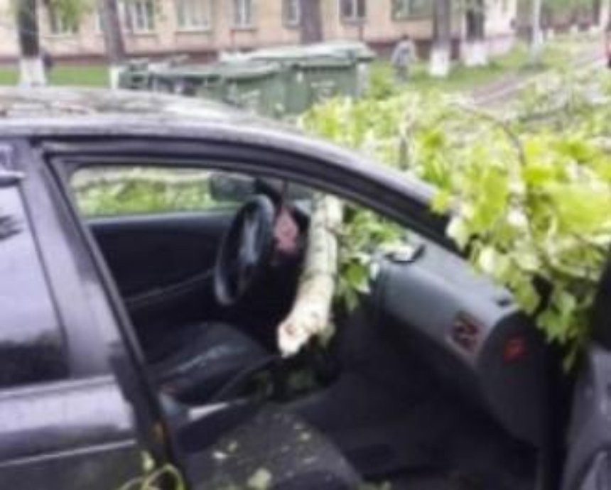 В Киеве из-за непогоды на легковушку рухнуло дерево