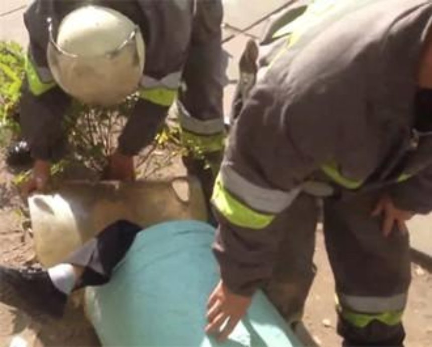 Киевские спасатели вызволили застрявшего в бетонной урне первоклассника (видео)
