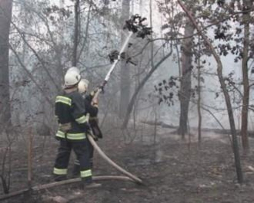 Прокуратура взялась расследовать пожар под Киевом