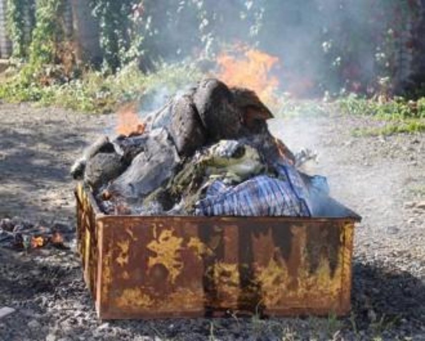 В Киеве полицейские уничтожили более 300 килограммов насвая (фото, видео)