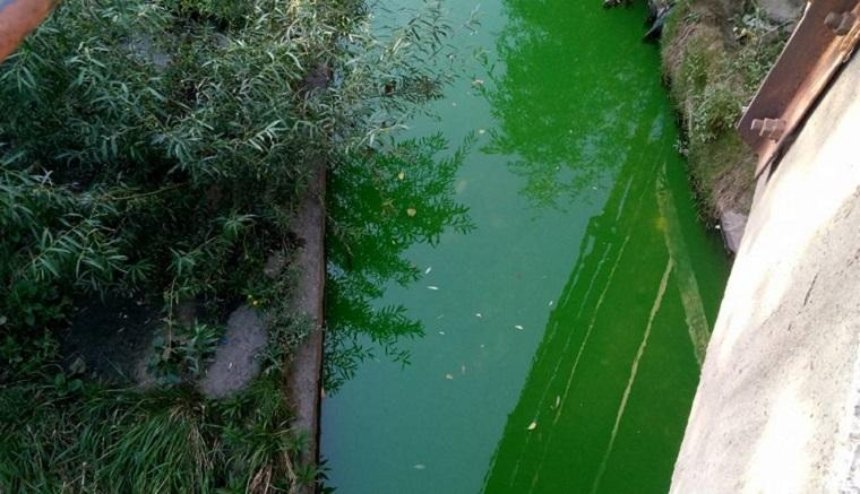 В столице вслед за фонтанами стала зеленой река (фото, видео)