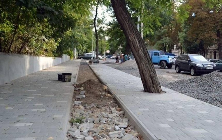 В Одессе замуровали деревья (фото)
