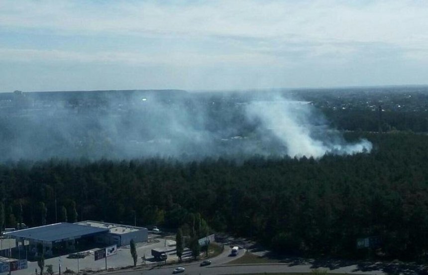 Экологическое бедствие: в лесу на левом берегу Киева масштабный пожар (фото)