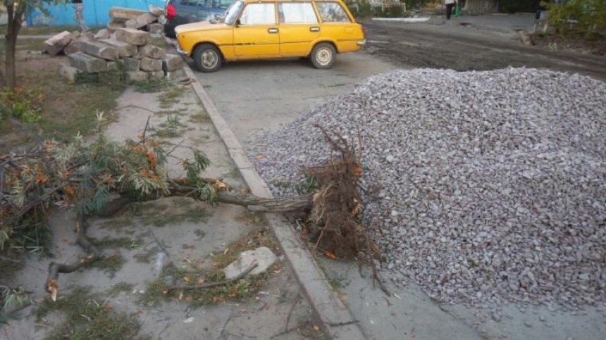 Заради нового асфальту на Троєщині комунальники знищують дерева (фото)