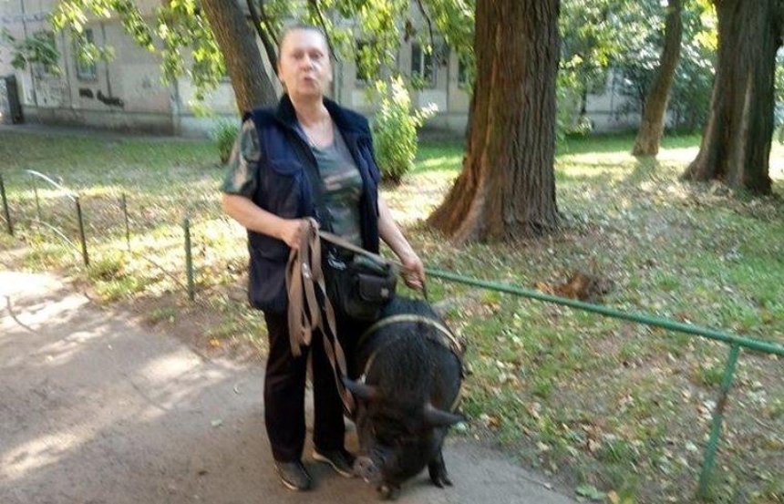Свинка Маргоша: в Киеве заметили необычного питомца (фото)