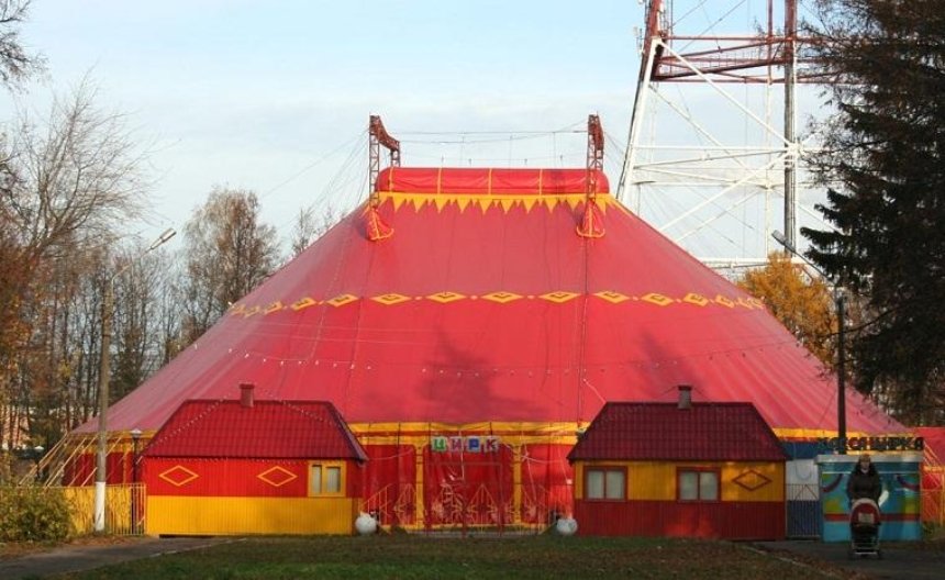 Киевсовет хочет запретить передвижные цирки-шапито, в представлениях которых участвуют дикие животные