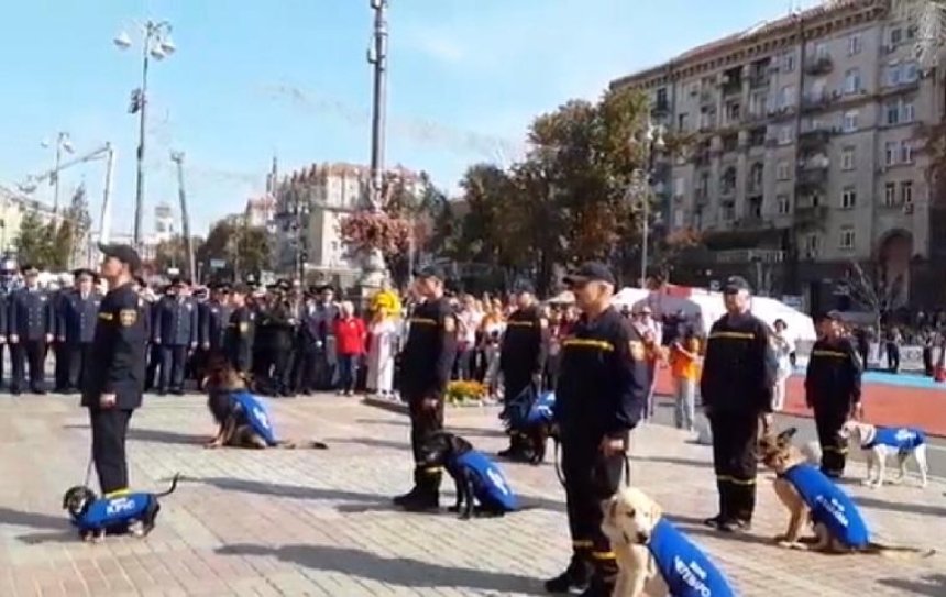 В Киеве наградили собак-спасателей (фото, видео)