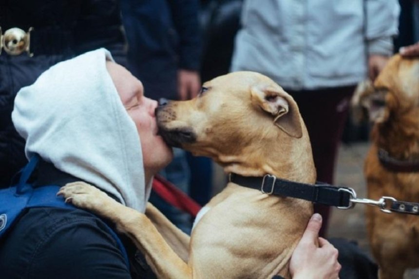 В Киеве пройдет акция в защиту животных