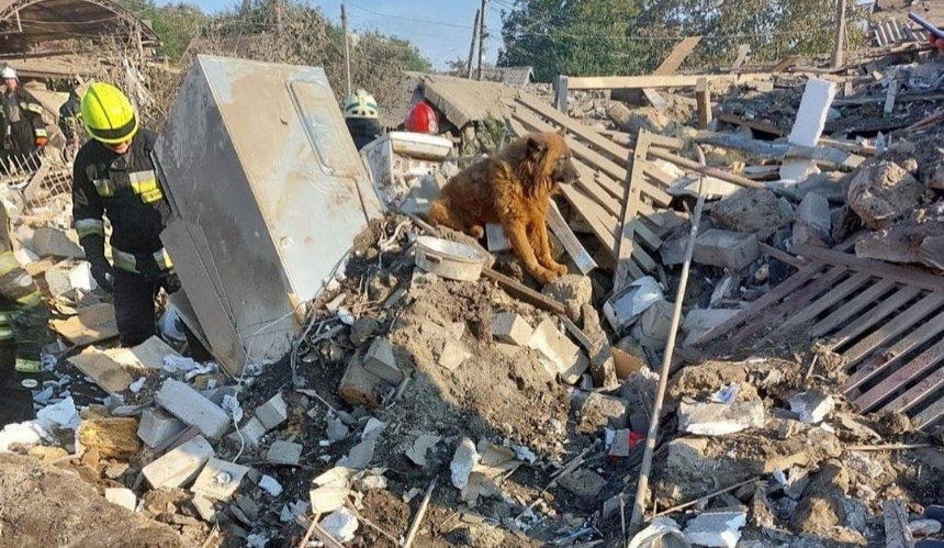 У Дніпрі пес Крим плакав на руїнах будинку: загинула уся родина