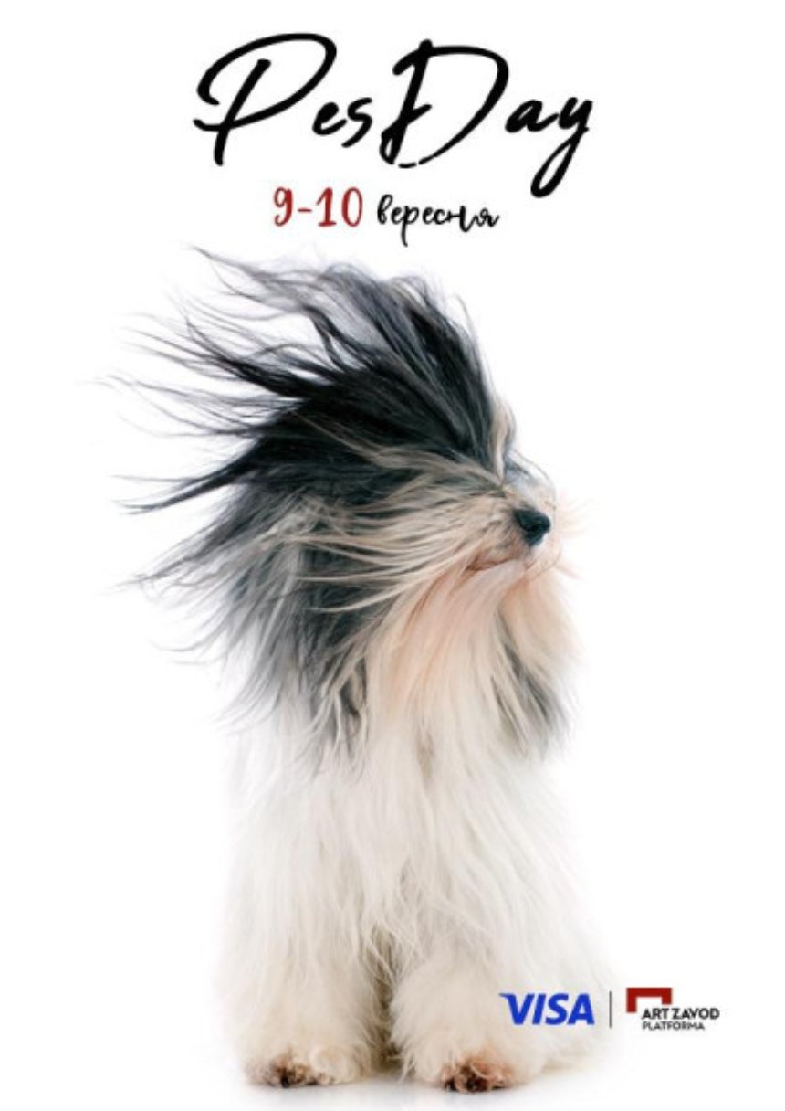 9 та 10 вересня 2023 на Арт-заводі "Платформа" відбудеться фестиваль для собачників та їх улюбленців PesDay